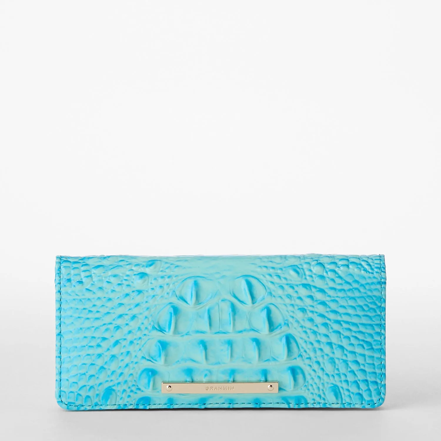 Ady Wallet Brahmin