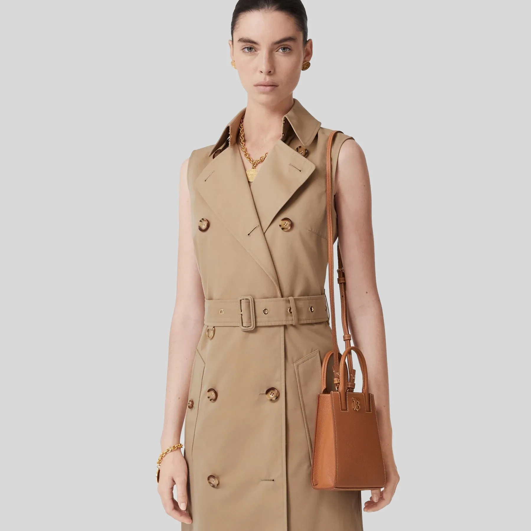 BURBERRY Grainy Leather Micro Frances Tote Warm Russet 80627021