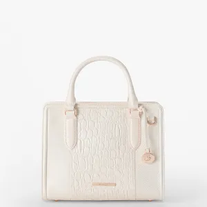 Cami Brahmin