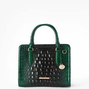 Cami Brahmin