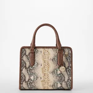 Cami Brahmin