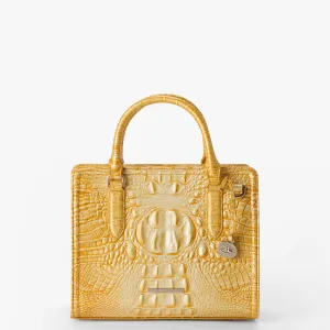 Cami Brahmin