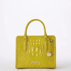 Cami Brahmin
