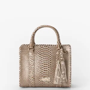 Cami Brahmin