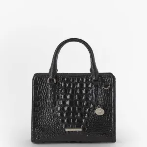 Cami Brahmin