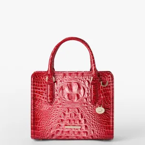 Cami Brahmin