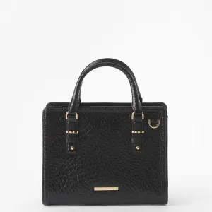 Cami Brahmin