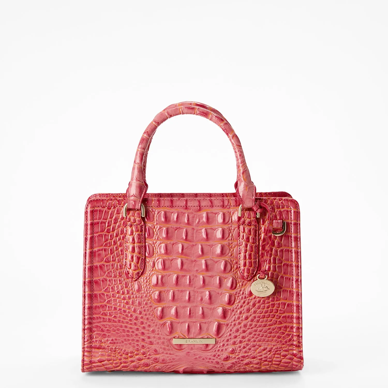 Cami Brahmin