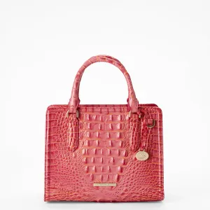 Cami Brahmin