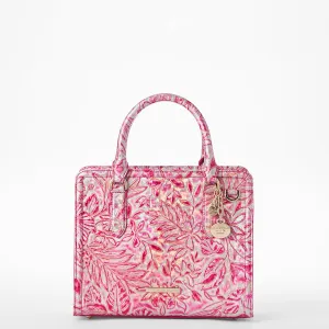 Cami Brahmin