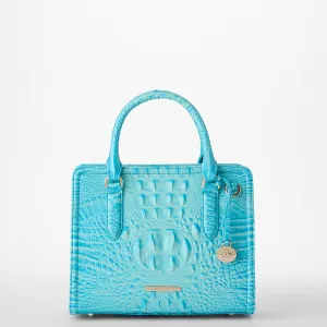 Cami Brahmin