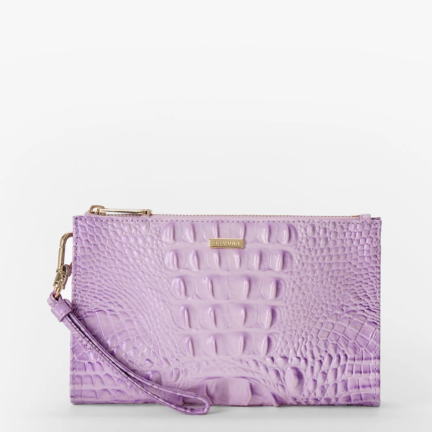 Daisy Brahmin