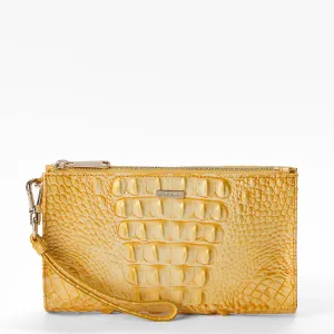 Daisy Brahmin