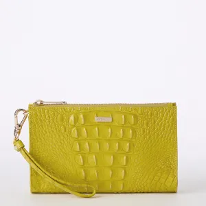 Daisy Brahmin