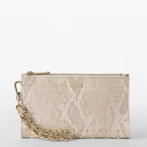 Daisy Brahmin