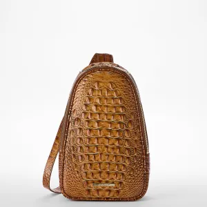 Jordan Brahmin