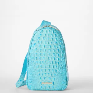 Jordan Brahmin