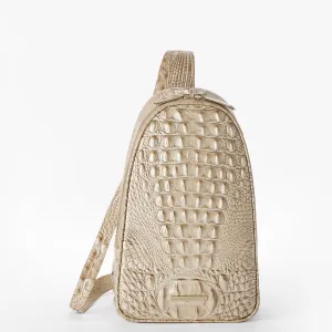 Jordan Brahmin