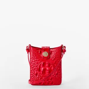 Marley Brahmin