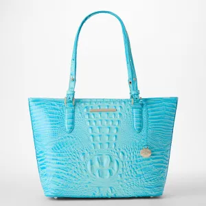 Medium Asher Brahmin