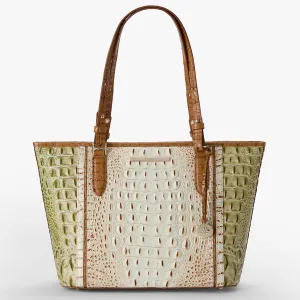Medium Asher Brahmin