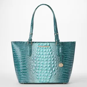 Medium Asher Brahmin