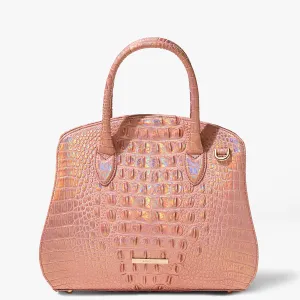Rosetta Brahmin