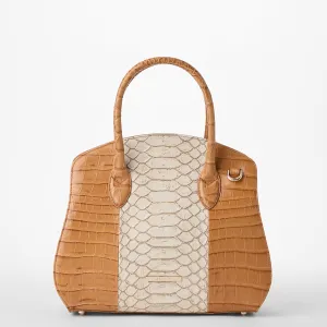 Rosetta Brahmin
