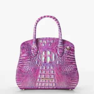 Rosetta Brahmin