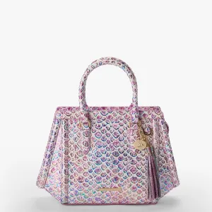 Small Arden Brahmin