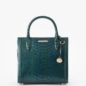 Small Caroline Brahmin