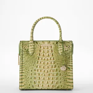 Small Caroline Brahmin