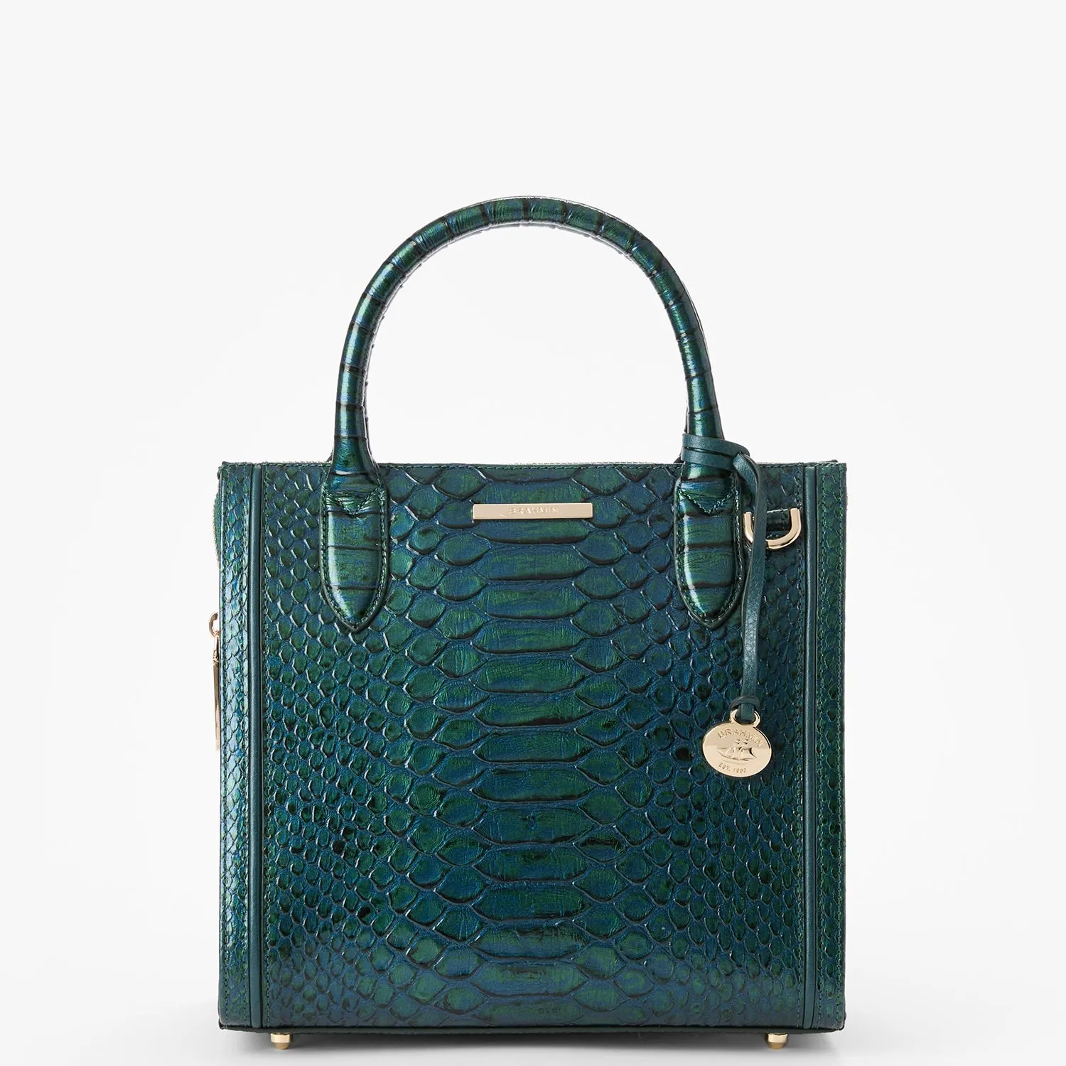 Small Caroline Brahmin