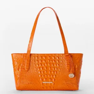 Tonya Brahmin