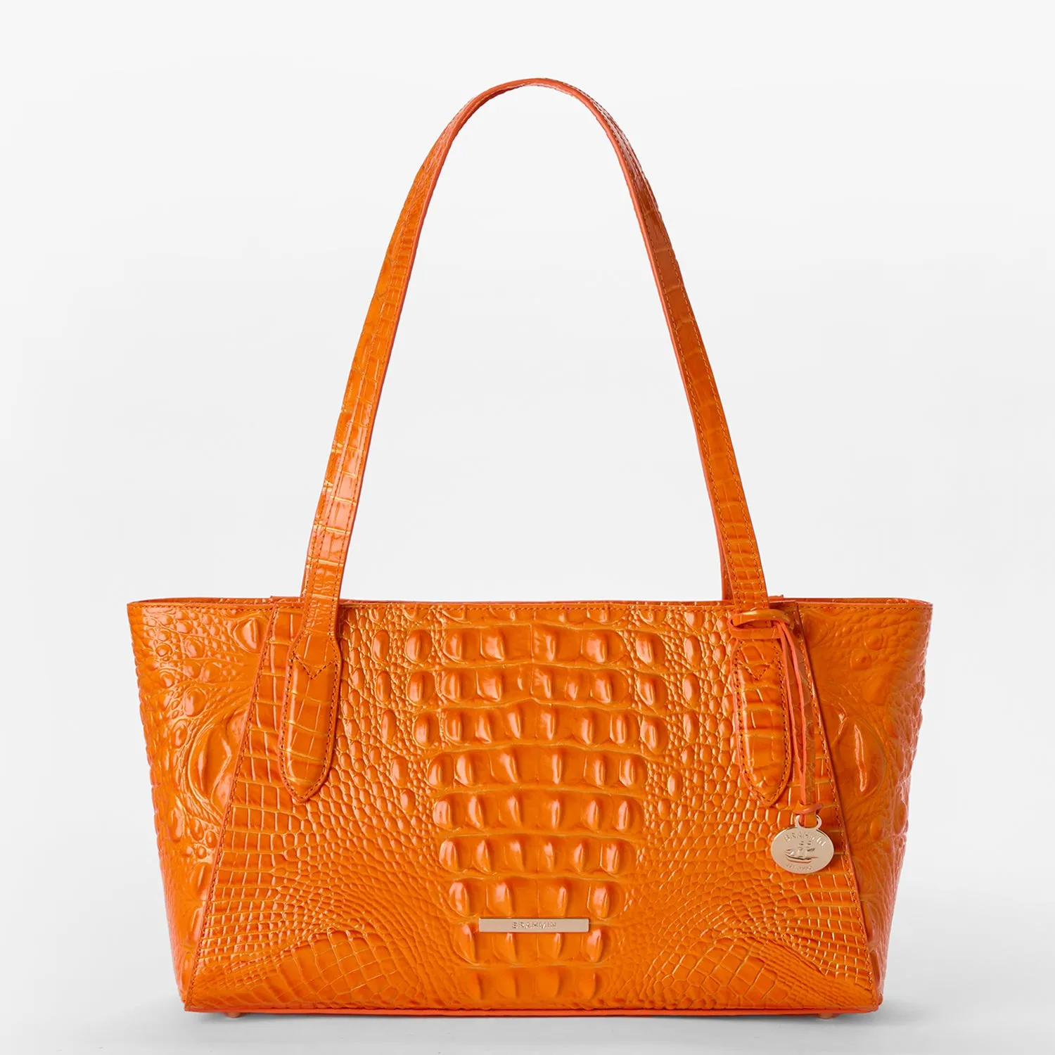 Tonya Brahmin