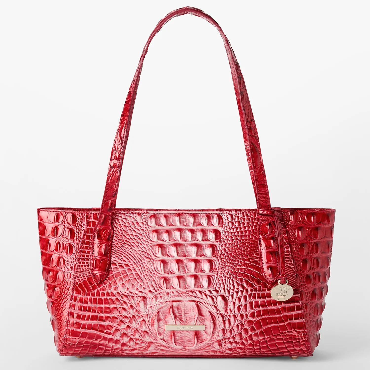 Tonya Brahmin